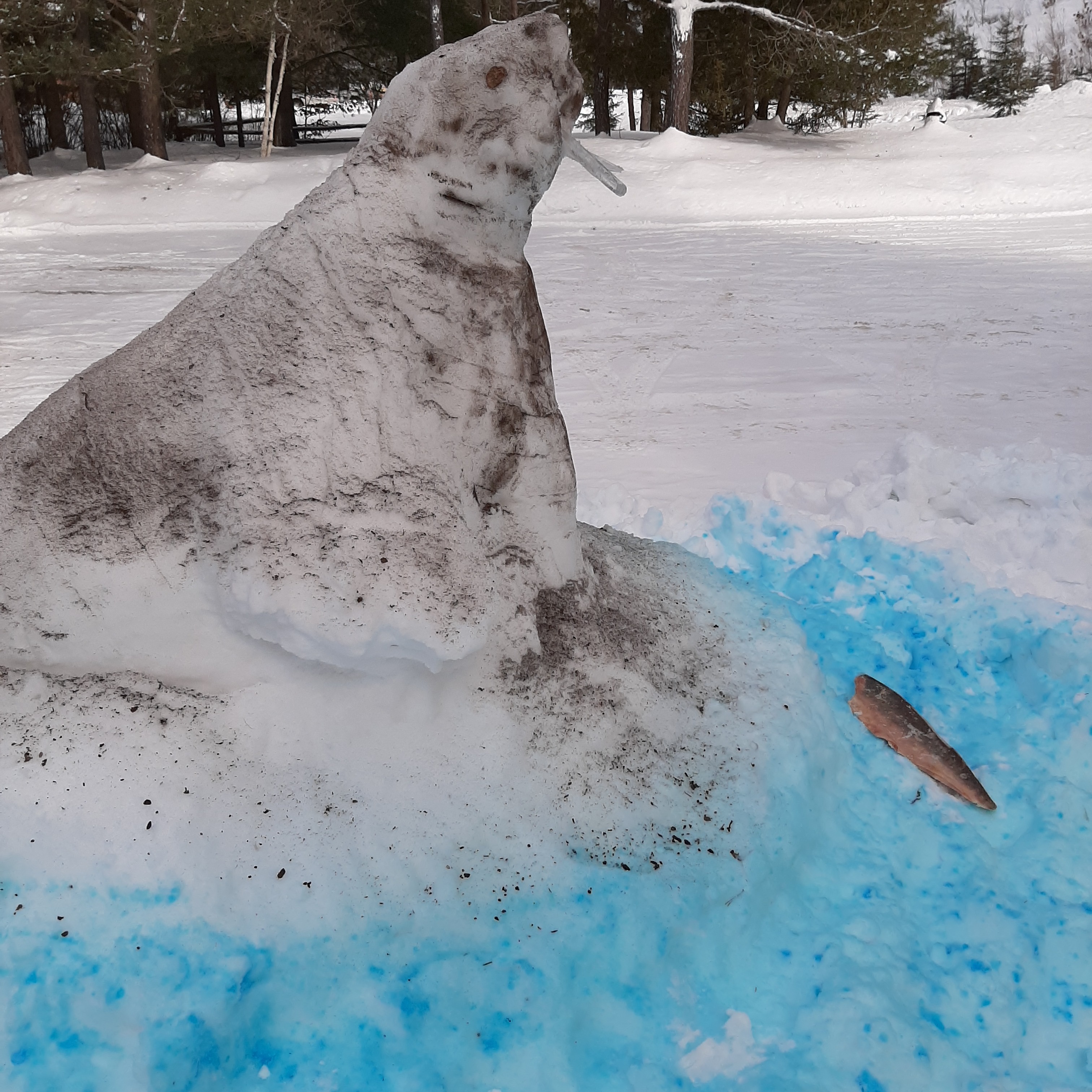 Walrus of Kennisis Lake out for a Snack